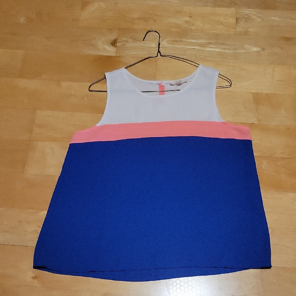 Vintage Iris Colorblock Sleeveless Blouse L